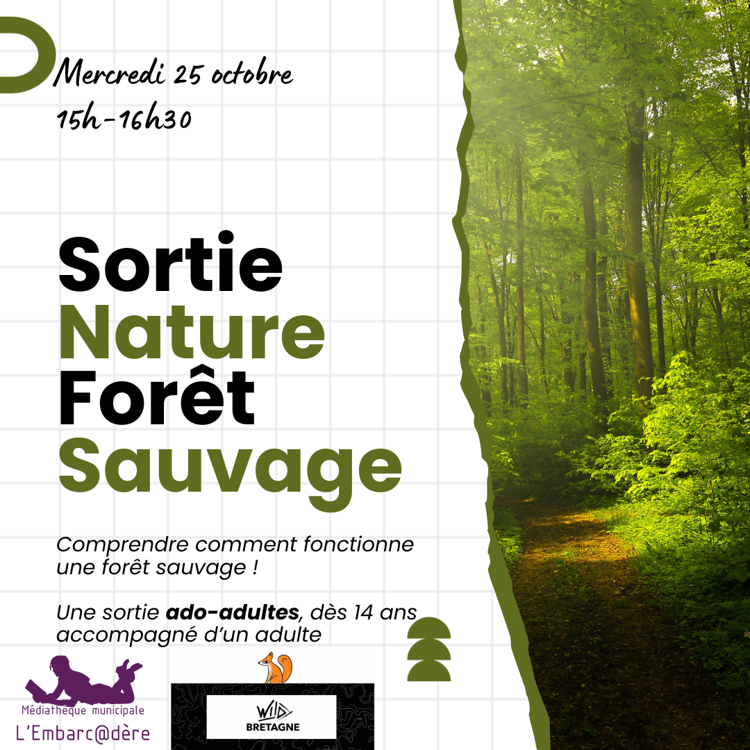 Sortie Forêt sauvage - mercredi 25 octobre à 15h